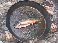 whole brook trout in fry pan