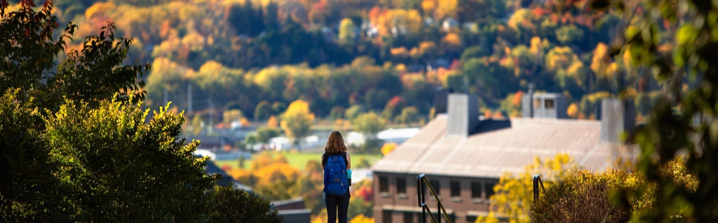 Photo of a student with a blue backpack facing away, looking down on campus in the distance