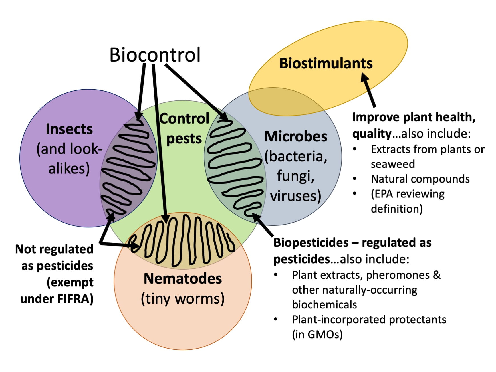 Део актив био контроль. Bio control. Триходерма бл. Био триходерма. Bio control.