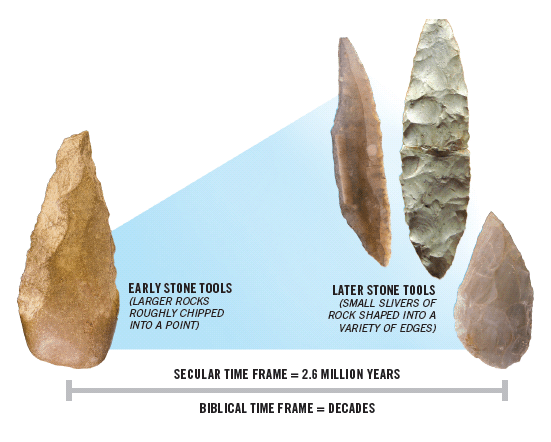 Human tool. Early Stone Tools answers CAE.