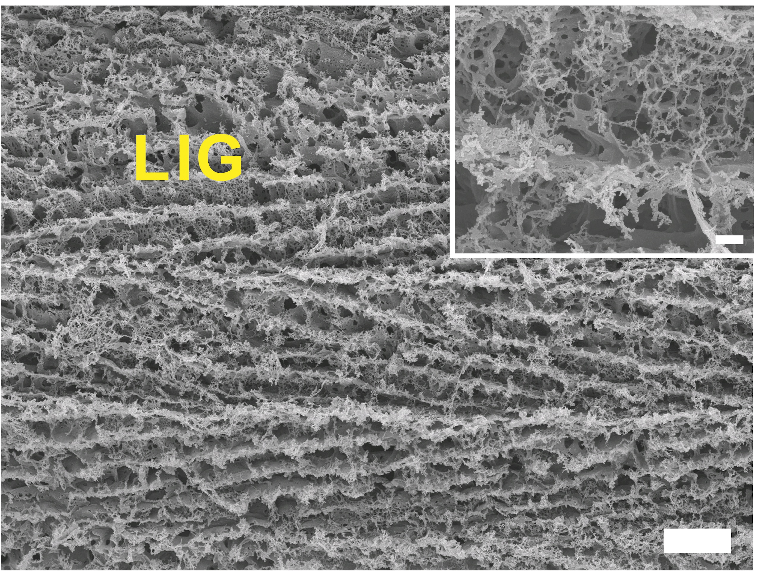 laser-inscribed graphene imaged with a scanning electron microscope
