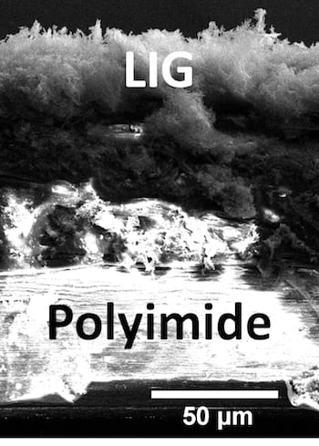 An electron microscope image shows a cross-section of a laser-induced graphene and polyimide composite created at Rice University for use as a triboelectric nanogenerator. The devices are able to turn movement into energy that can then be stored for later use. (Credit: Tour Group/Rice University)