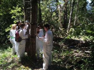 scanning trees on the FERP