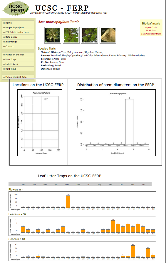 Acer page example