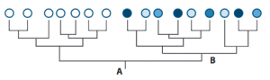 phylogenetic conservatism