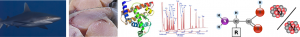 Compound-specific stable isotope analysis of individual amino acids.