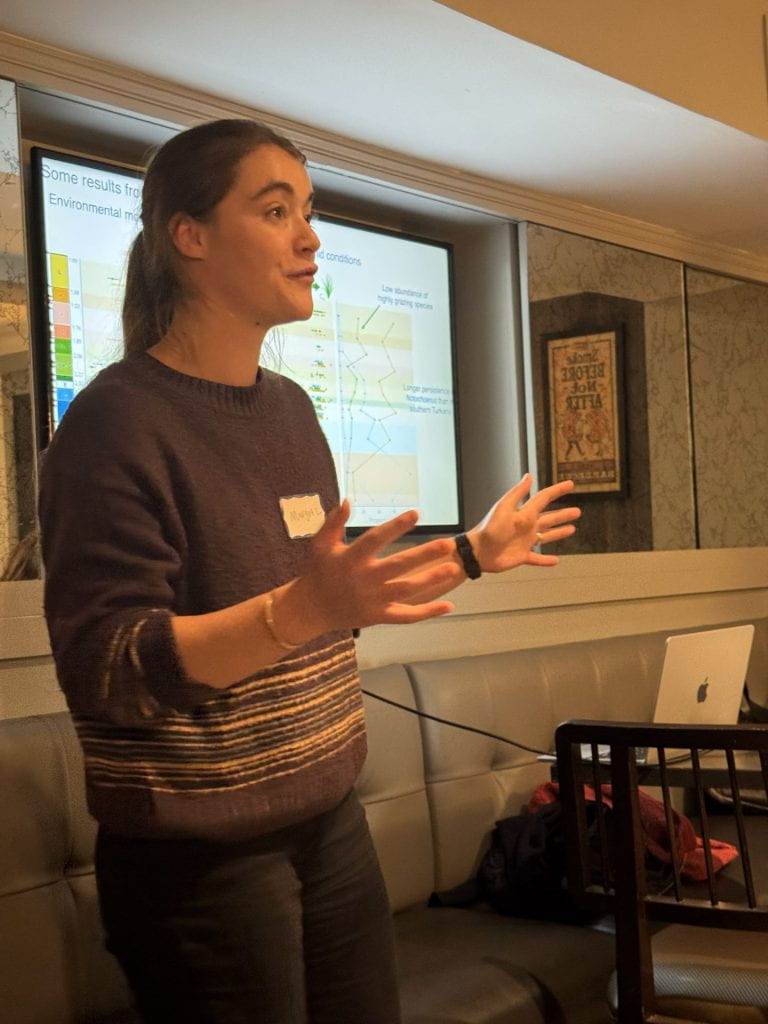 Description of the image