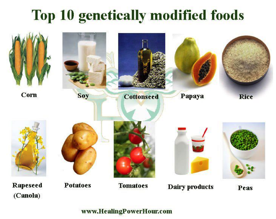Гендік өзгеріске ұшыраған тағамдар. Genetically modified food. Генетически модифицированная пища. Genetically modified food product. Genetically modified Crops.