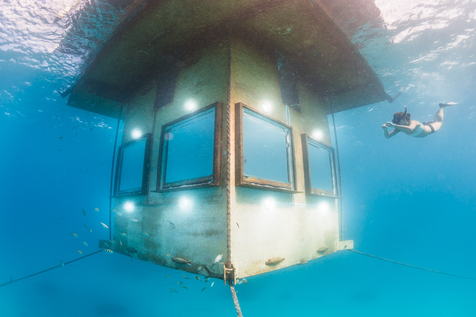 Дом под водой. The Manta Resort Танзания, остров Пемба. Танзания остров Пемба Underwater Room. Подводный отель остров Пемба. Занзибар подводный отель.