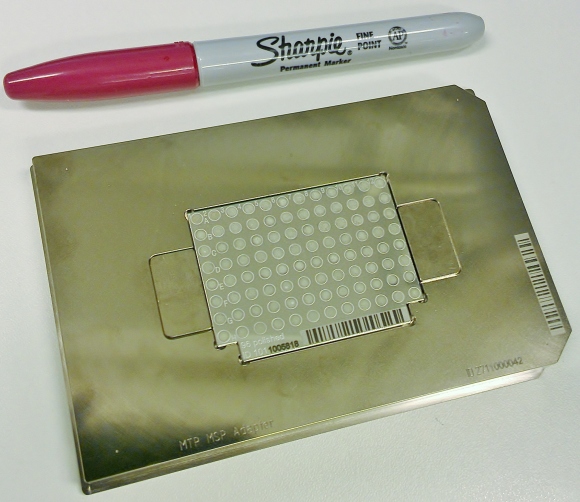 Samples are ready to be analyzed. (MSP 96 target polished steel; Bruker Part No: 8280800)