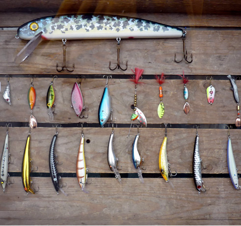 Assortment of fishing lures