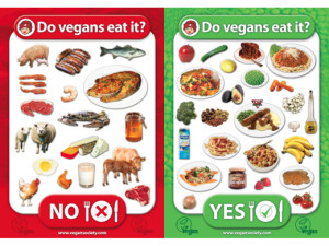 Vegetarians not eat meat. Eat Vegan.