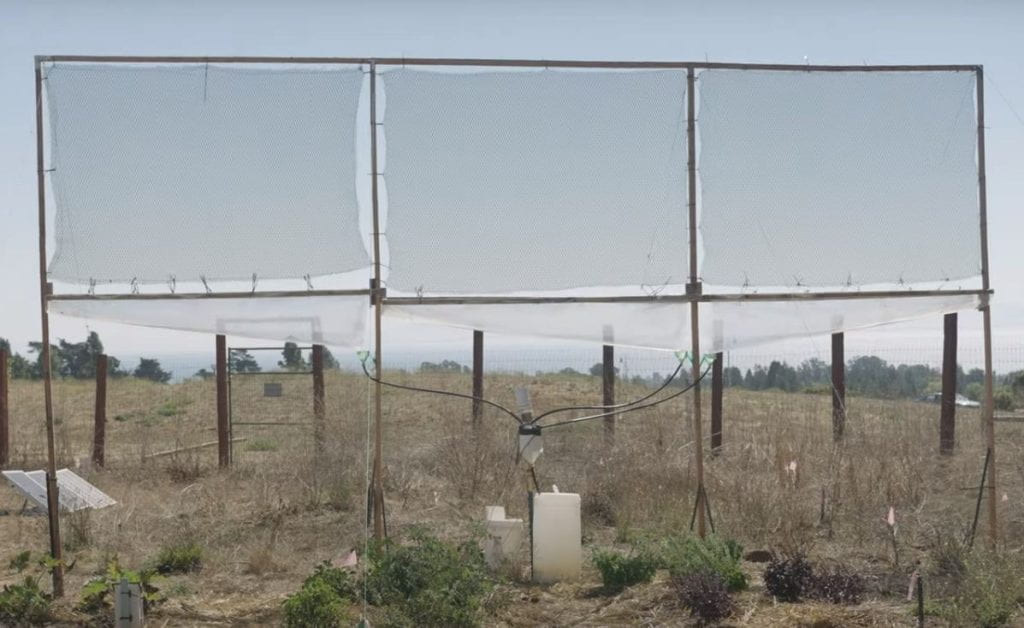 Fog net installed in urban garden setting