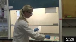 A SCWIBLES video to accompany our hands-on inquiry-based module on paper chromatography developed by Fellows Rachel Zuercher and Chandra Goetsch.