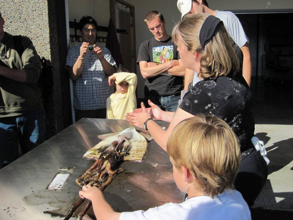 Selina Heppell explains her dissection of a Humboldt squid to a group of students on the coast. 