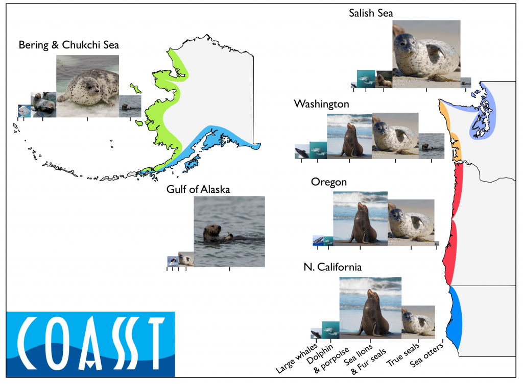Marine mammal species abundance as a function of location, from northern California north to the Bering and Chukchi Seas.