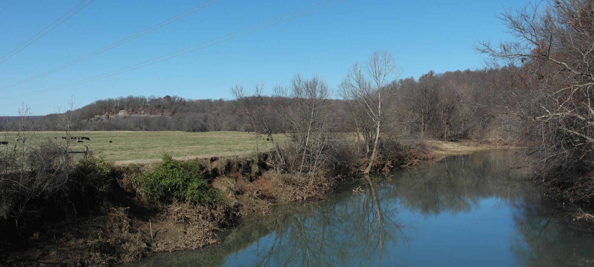 Streambank erosion on the Illinois River.