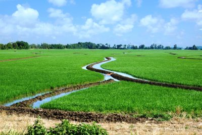 Agricultural water quality and availability is an important concern shared by many states in the Southeast.