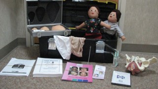 A box with dolls inside and posters and other materials in front of it