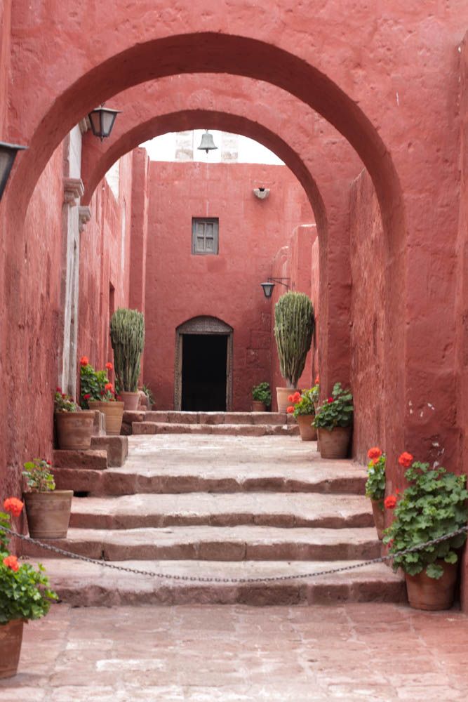 Pots of geraniums bloom along a narrow cobblestone street. 