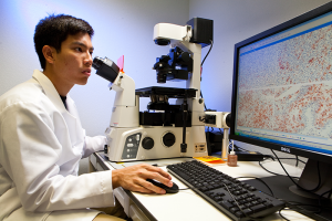 Jimmy Vo, working in the lab.