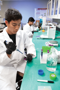 students working in a lab with test tubes