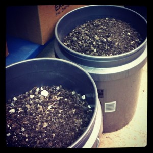 two buckets full of ground-up asphalt