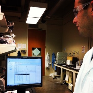 a student looking at a computer screen