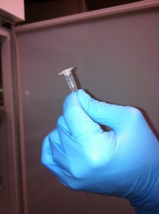 a gloved hand holding a small vial