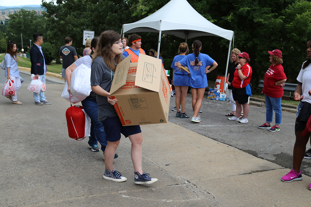 Lead Hogs work amid a flurry of activity.