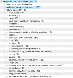 imagenet-database