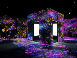 TeamLab Borderless