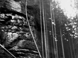 Trees and cliffs rise from the river where we took our silent boat ride