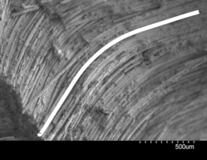 Failure under compressive loading