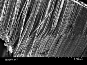 Effect of Moisture on FRP Matrix 