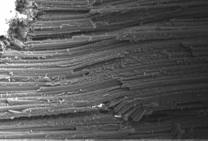 Effect of Moisture on FRP Matrix  