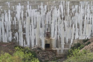 mujer en medio de selva con bengala amarilla