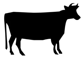 vaca negra