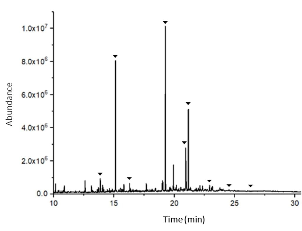 A chromatogram