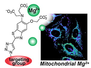 2015_ChemSci_Zhang_TOC