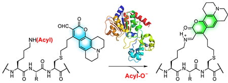 2018_ChemBioChem_TOC