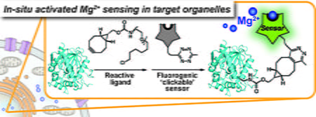 2016_JACS_TOC