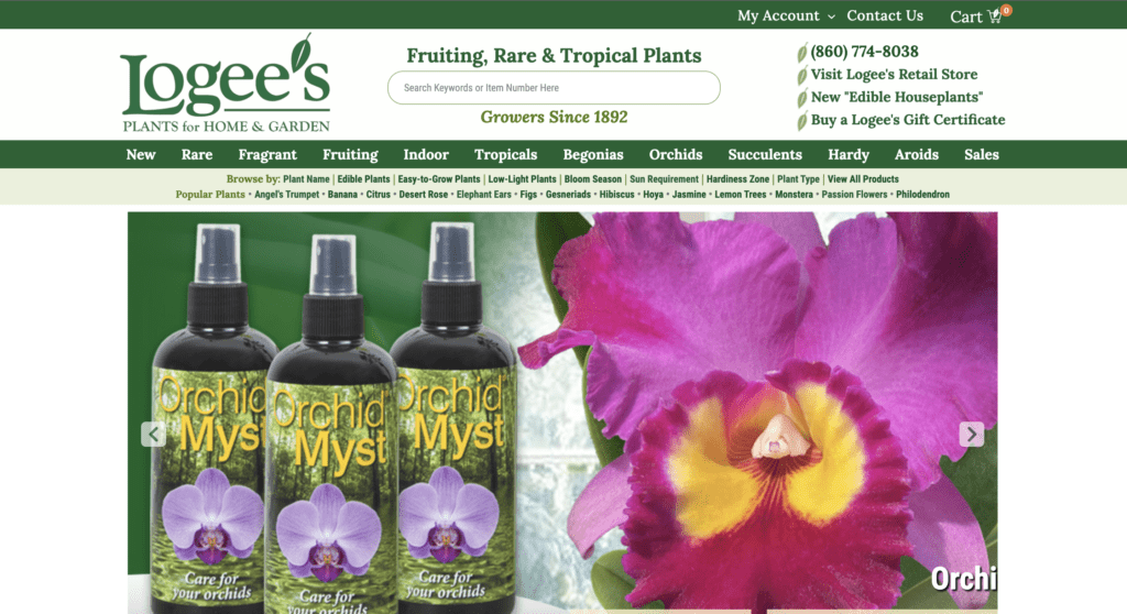 User Experience Research and Design Logee’s Jess Zepeda