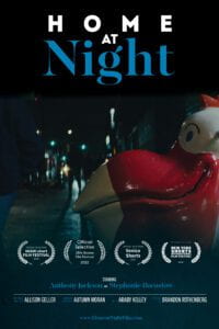 home at night poster