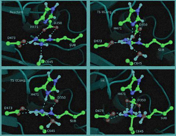 3D rendering of molecules