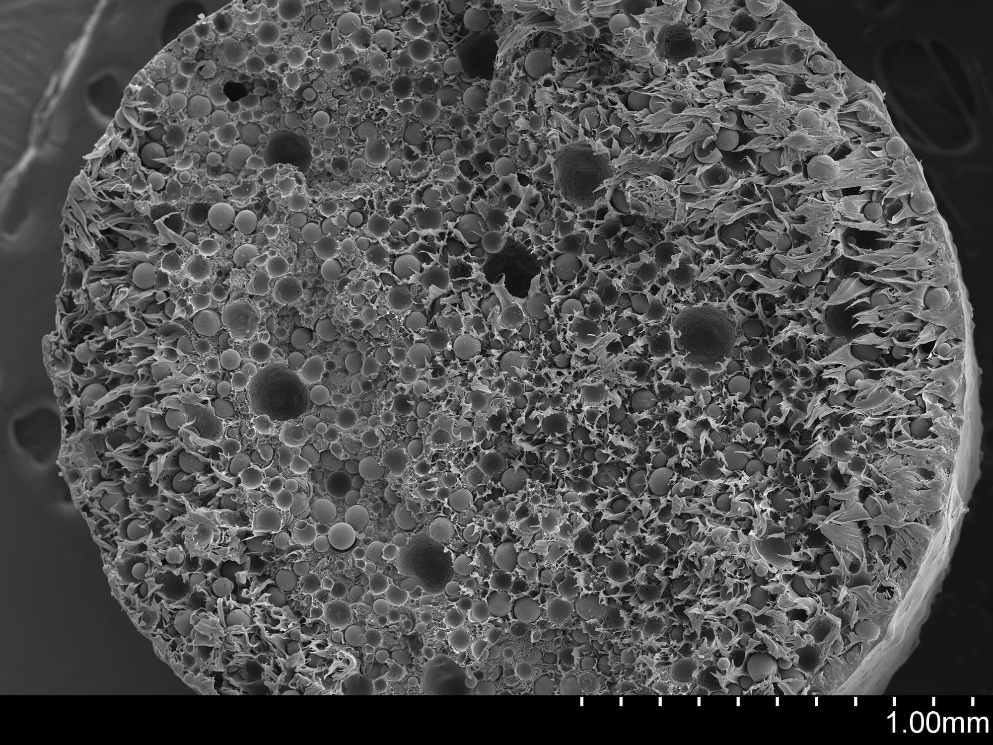 Magnified image of the inside of the syntactic foam filament, showing the conglomeration of microspheres