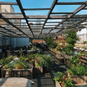 Rooftop with garden and tables 