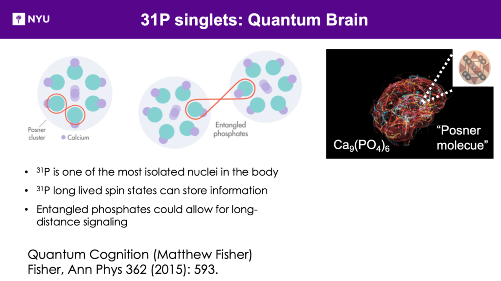 quantum cognition figure