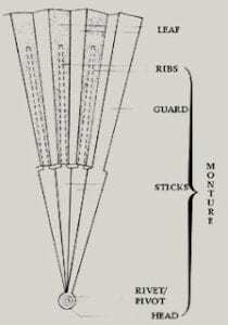 fan-anatomy