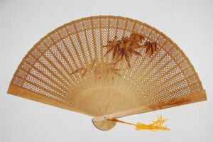 fan-1